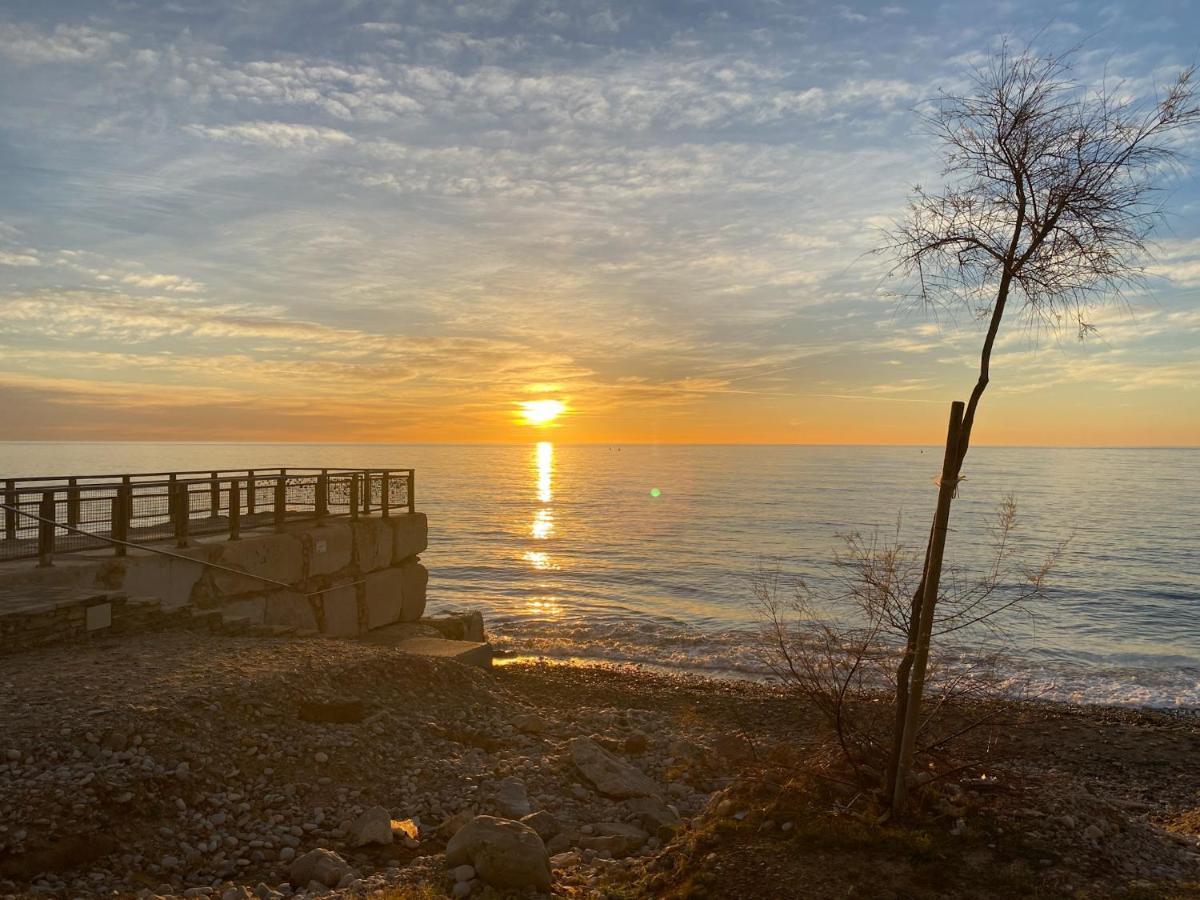 Mediterranean Dream Views 奥罗佩萨德尔马 外观 照片